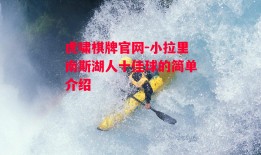 虎啸棋牌官网-小拉里南斯湖人十佳球的简单介绍